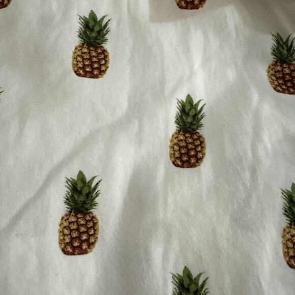 Cactus Size XL Shirt Ricky Singh Men's Pineapple Short Sleeve Button Down - Picture 5 of 5